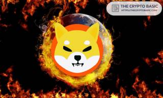 Shiba Inu P2E Гра для збільшення SHIB спалень: Як вона працює