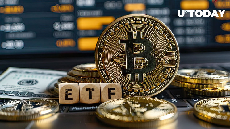 Grayscale Bitcoin Mini Trust: что это и как это работает?