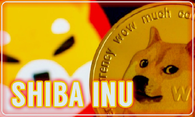 Зростання випалення токенів Shiba Inu: аналіз та перспективи