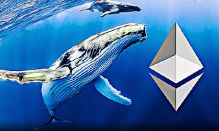 Зріст кит-транзакцій Ethereum під впливом нових ETF