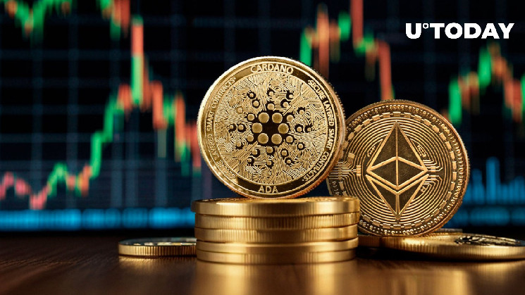 Объем крупных транзакций Cardano сравнялся с Ethereum