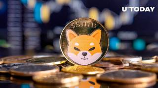 Виведення токенів Shiba Inu з бірж: вплив на ціну мем-монети