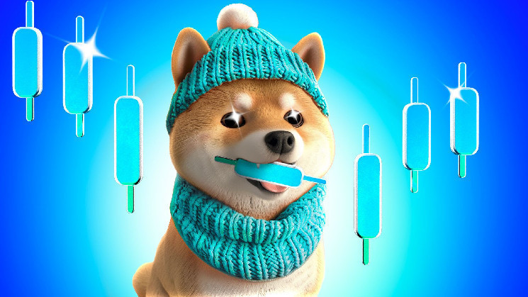 Торговец WIF заработал 4 497x прибыли