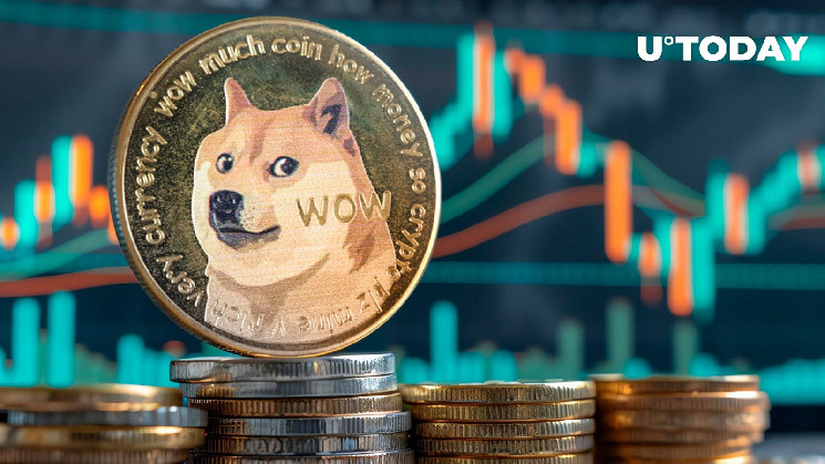 Активность китов: Dogecoin уходит с бирж - знак бычьего рынка?