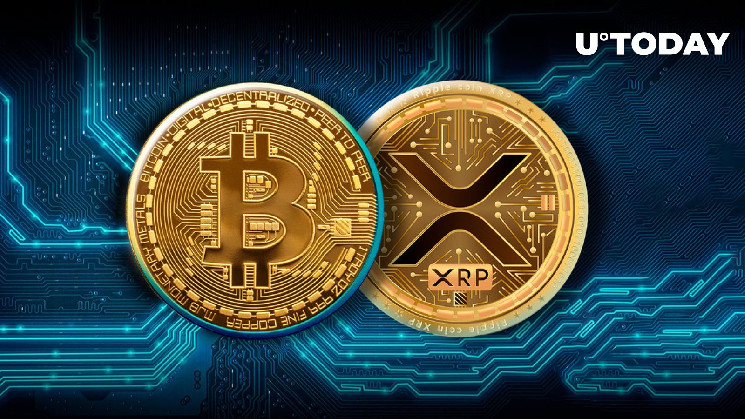 XRP силен во время краха: анализ рынка
