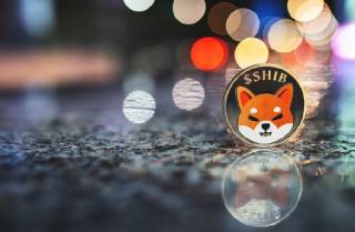 Прогноз цены SHIB на 31 августа 2024: анализ AI