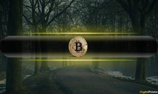 Bitcoin может упасть до $40 000: анализ CryptoQuant