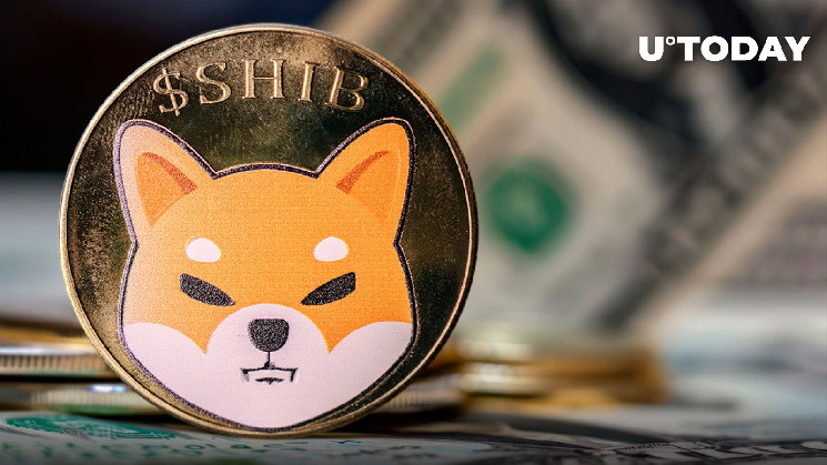 Медвежий настрой SHIB: на грани потерь.