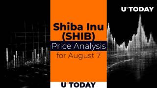 Прогноз для SHIB: шанси на спад до $0.000010