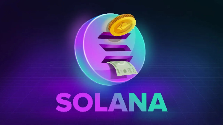 Стаття: Відновлення криптовалют і популярність Solana