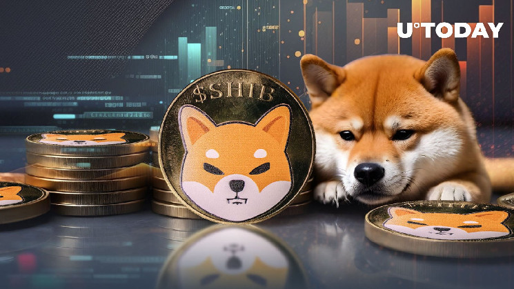 Турбулентність ринку Shiba Inu: кроки китів