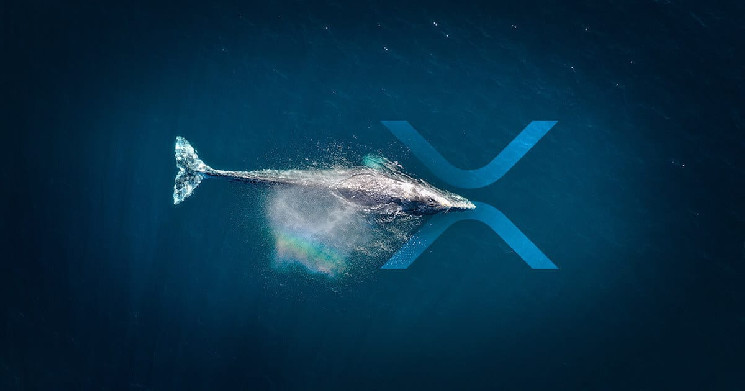 XRP: киты выбирают американские биржи.