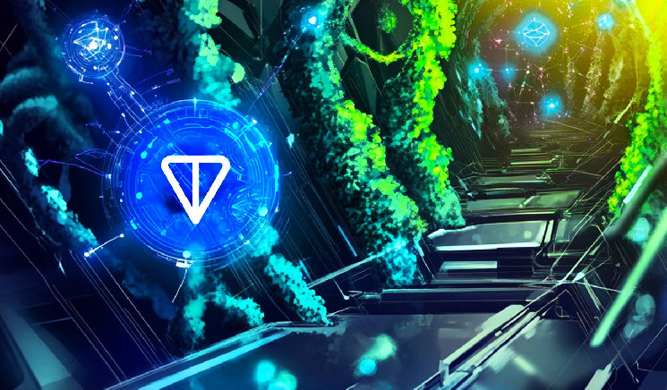 Toncoin вырос на 13% после поддержки Binance.