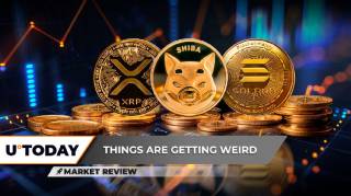 1) XRP відновлюється: можливий подальший ріст
2) Shiba Inu (SHIB) показує погані результати
3) Solana: чи утримається позитивна динаміка?
4) Оновлення цін XRP, SHIB та SOL
5) Ринок криптовалют: XRP, SHIB та SOL
Будь ласка, обери назву для статті.