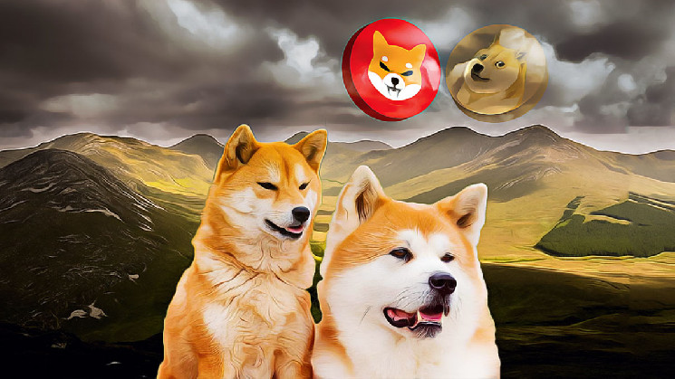 Статья: Волатильность рынка криптовалют.