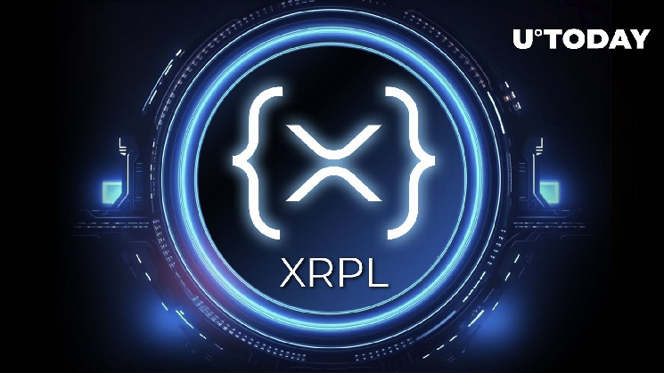 XRP Ledger от Ripple: горячий тренд в криптовалюте