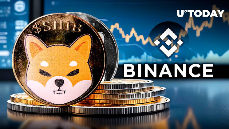 Биржа Binance перевела более чем 135 миллиардов токенов Shiba Inu (SHIB)