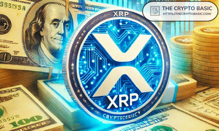 Тримай лише 3,011 XRP: Як потрапити до списку багатих власників XRP