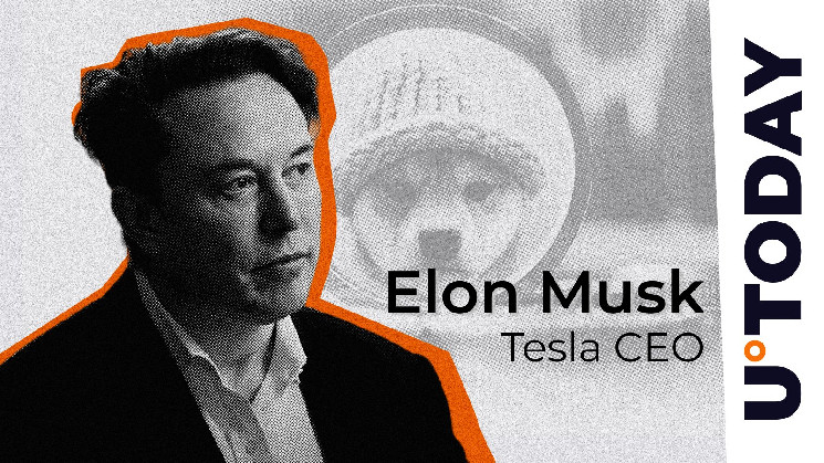 Грок 2 може створювати меми про Dogwifhat - нова функція Ілона Маска