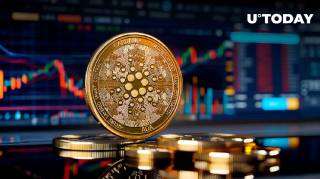 Cardano (ADA) достигает исторического максимума долгосрочных держателей