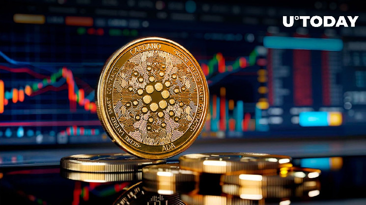 Насиченість Hodlers Cardano досягла історичного максимуму