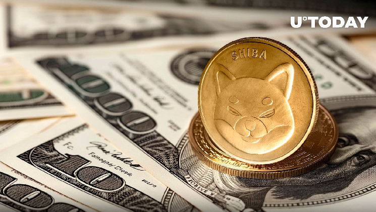 Цена SHIB падает, но киты покупают: анализ рынка Shiba Inu