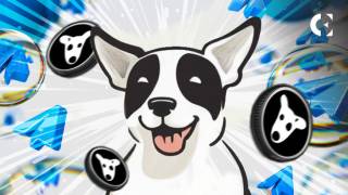 DOGS Meme Coin: Готується до Лістингу на Біржі