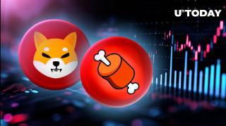 Shiba Inu: Криптобиржа расширяет поддержку для BONE
Будьте осторожны: рост фейковых аккаунтов Shiba Inu