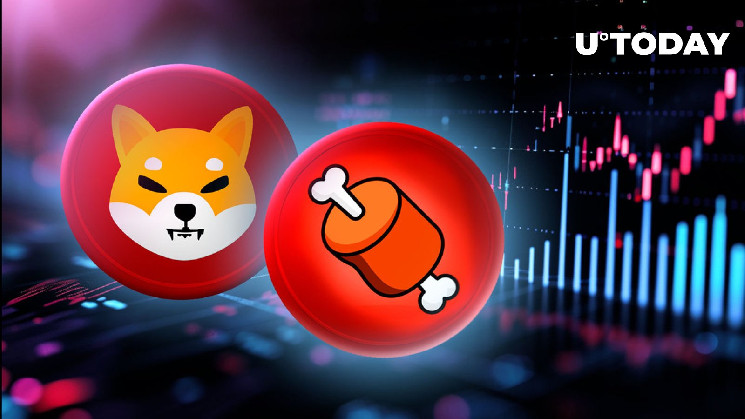 Shiba Inu: Криптобиржа расширяет поддержку для BONE
Будьте осторожны: рост фейковых аккаунтов Shiba Inu