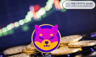Шлях Shiba Inu: відкат на 50% або можлива реверсія