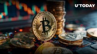 Исчезновение $2.5 млрд из биткоина: киты вернулись