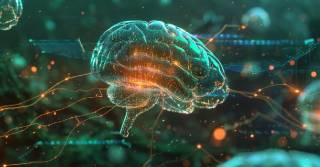 Мозкові імпланти: майбутнє за 20 років