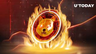 Shiba Inu представила портал спалення для Shibarium: огляд файрументального шляху