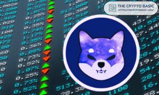 Прогнози для Shiba Inu: Від Tesla до двох нулів