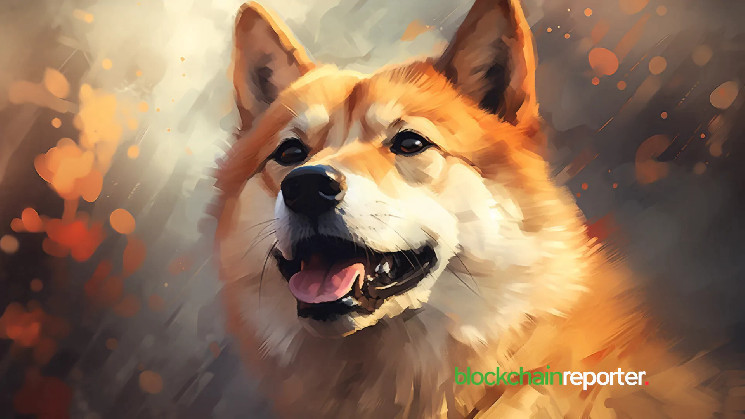 Прогноз роста Шиба Ину на 498%