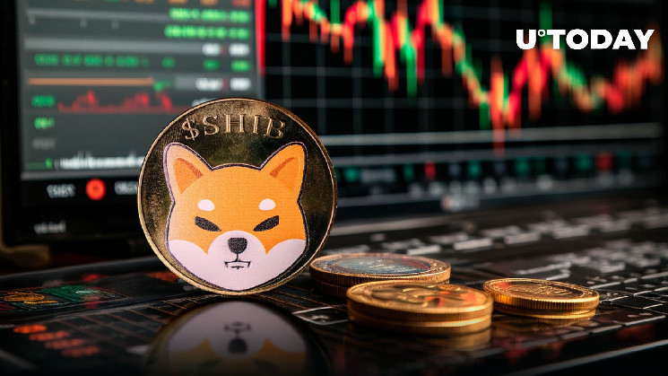 Новый антирекорд активности китов для Shiba Inu