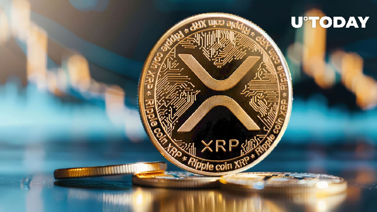 Массовый бычий сигнал для XRP: анализ и прогноз