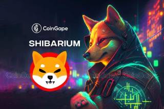 Назва статті: ШибХаб: серце екосистеми Shiba Inu