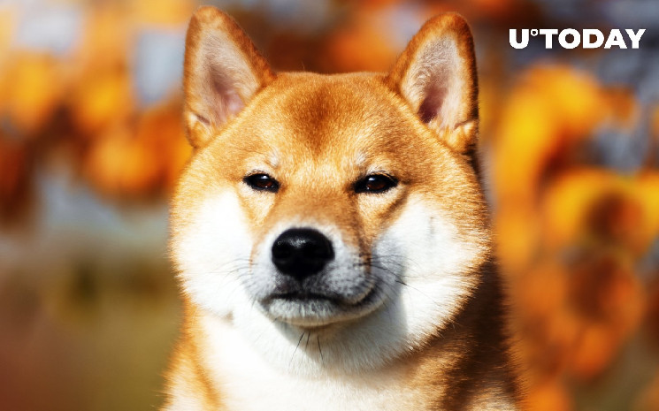 Shibarium: масштабне рішення для Shiba Inu досягло 3 мільйонів блоків та 334 млн транзакцій