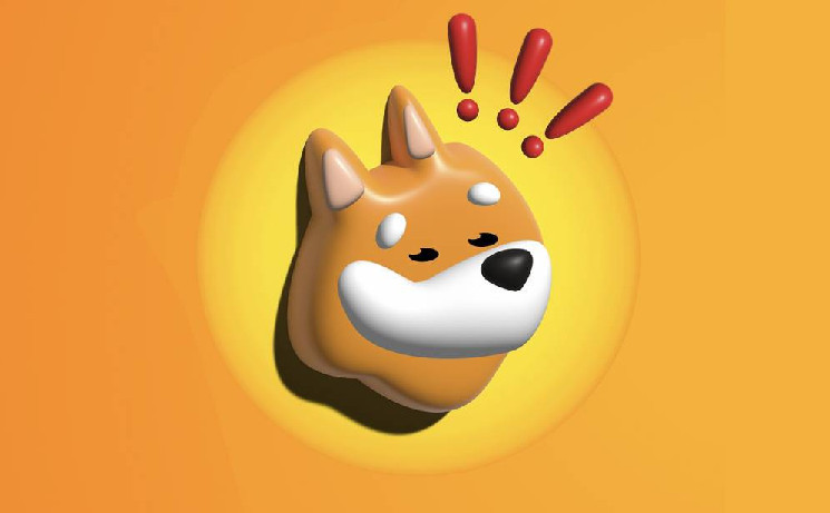 BONK: выход из коррекции?