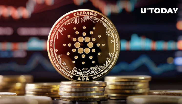 Новий хардфорк Cardano (ADA) перед запуском Чанг