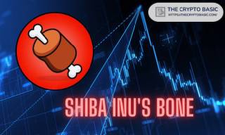 Шиба Ину: Армия SHIB требует листинг BONE на Coinbase.