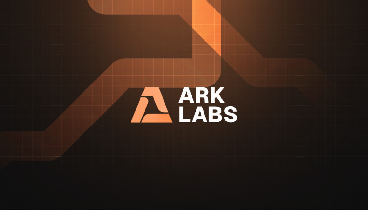 Инвестиции Тима Дрейпера в Ark Labs: упрощение платежей Bitcoin.