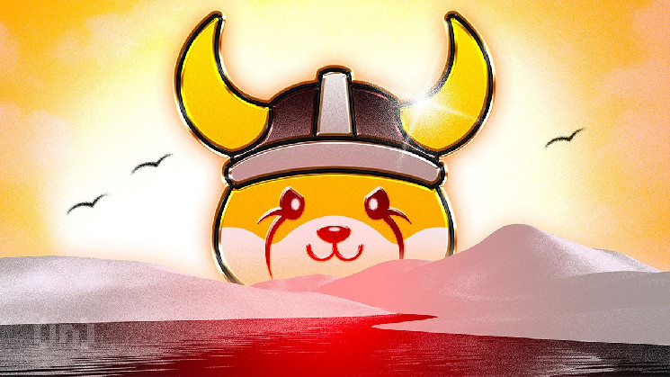 Новий токен CAT від Флокі: інвестиція у мем-монети