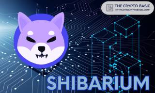 Shibarium: Річниця та досягнення за рік