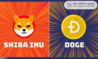 Тече мемкоін: DOGE vs SHIB