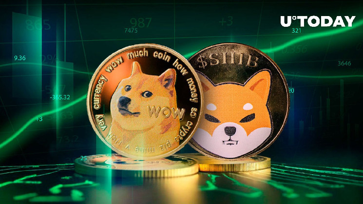 DOGE лідер серед мем-монет на ринку: Деталі оновлення
