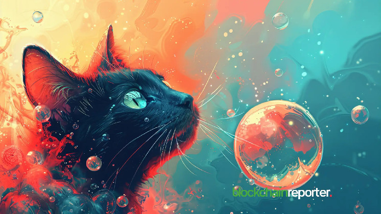 Криптовалюту $CAT вартістю $15 мільйонів замкнули у криптолокері Флокі