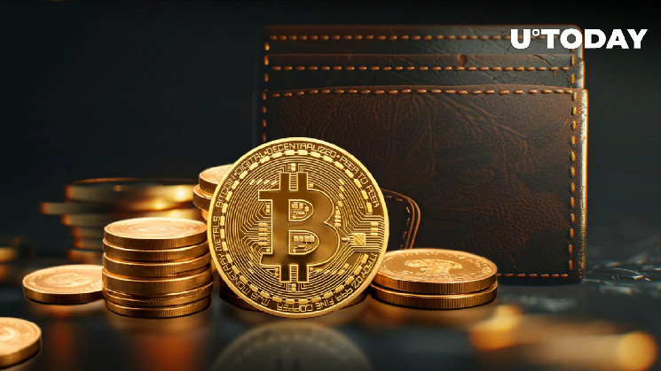 Активация неактивного биткойн кошелька: подробности
