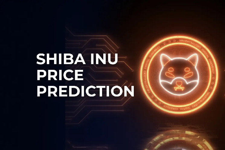 Ціна Shiba Inu: кити накопичують активи, DAO плани, ринковий наступ